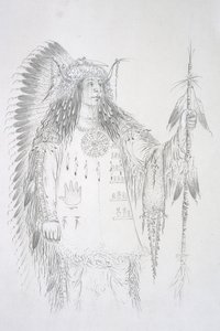 Mah-to-toh-pa (I Quattro Orsi) da George Catlin